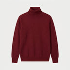 Men's Fine Knit Turtleneck Sweater – Regular Fit
