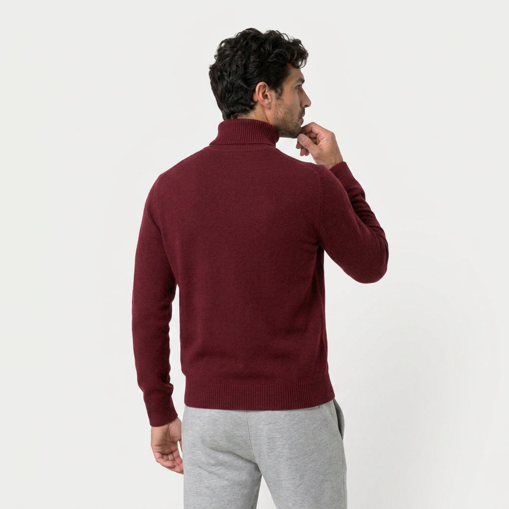 Men's Fine Knit Turtleneck Sweater – Regular Fit