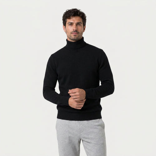 Men's Fine Knit Turtleneck Sweater – Regular Fit