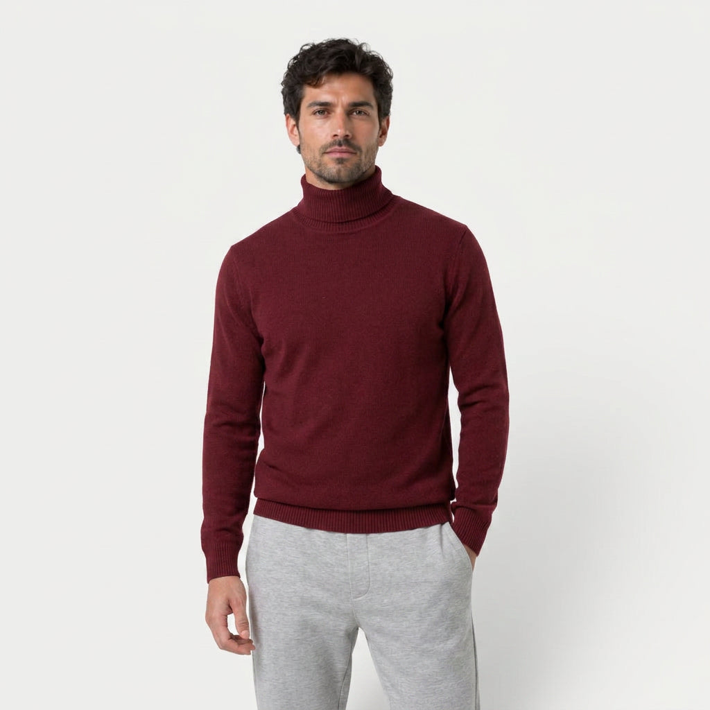 Men's Fine Knit Turtleneck Sweater – Regular Fit