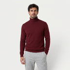 Men's Fine Knit Turtleneck Sweater – Regular Fit